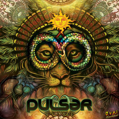 PULSAR - 8th LIFE